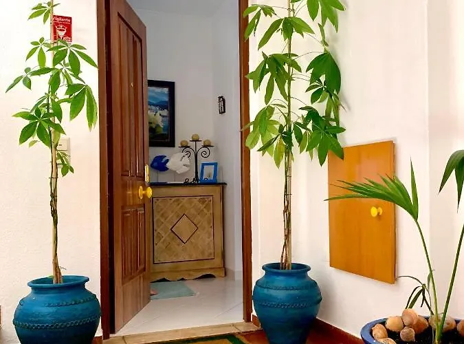 Gil Eanes Ocean View Nautical