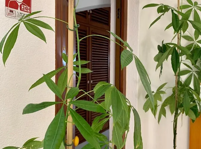 Gil Eanes Ocean View Nautical Albufeira